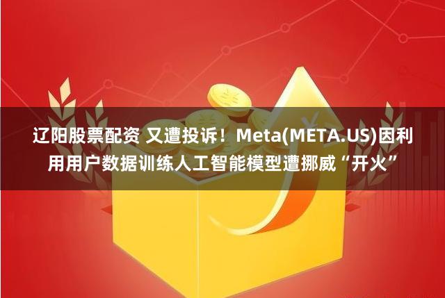 辽阳股票配资 又遭投诉！Meta(META.US)因利用用户数据训练人工智能模型遭挪威“开火”