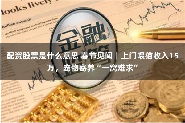 配资股票是什么意思 春节见闻｜上门喂猫收入15万，宠物寄养“一窝难求”